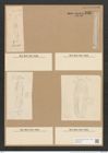 Amphora crassa Greg. (de-Toni-Nr.: Genus 36, Species 1645) Zeichnungen Sammlung Grunow Nr. 3137 (NHMW-BOT-W0370570)